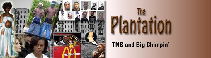 Stumble Inn - Powered by vBulletin